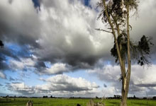 视频丨美国加拿大冰球赛 开场9秒内连打3架央视新闻客户端.