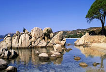 Kaiyun：葡萄牙名宿：马拉多纳和梅西更有天赋，但C罗是最全面的球员.